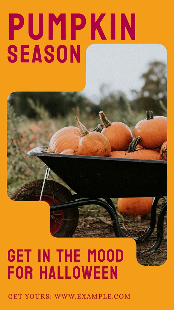 Pumpkin season Instagram story template, editable text