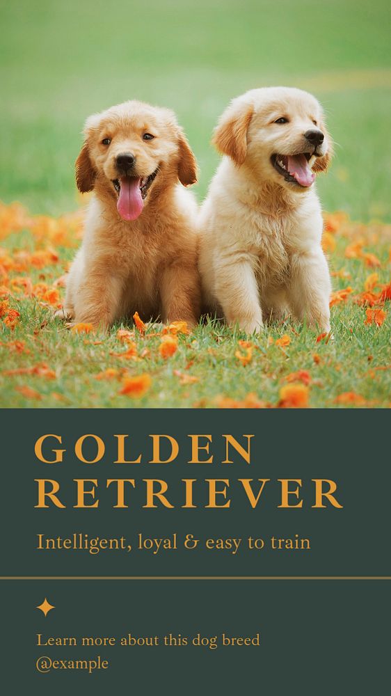 Golden retriever social story template, editable Instagram design 