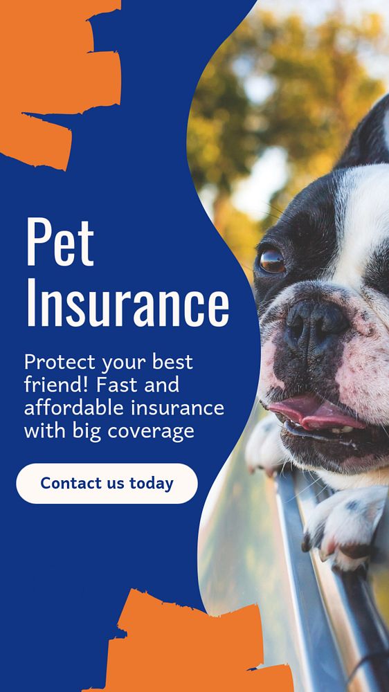 Pet insurance  Instagram story template, editable text