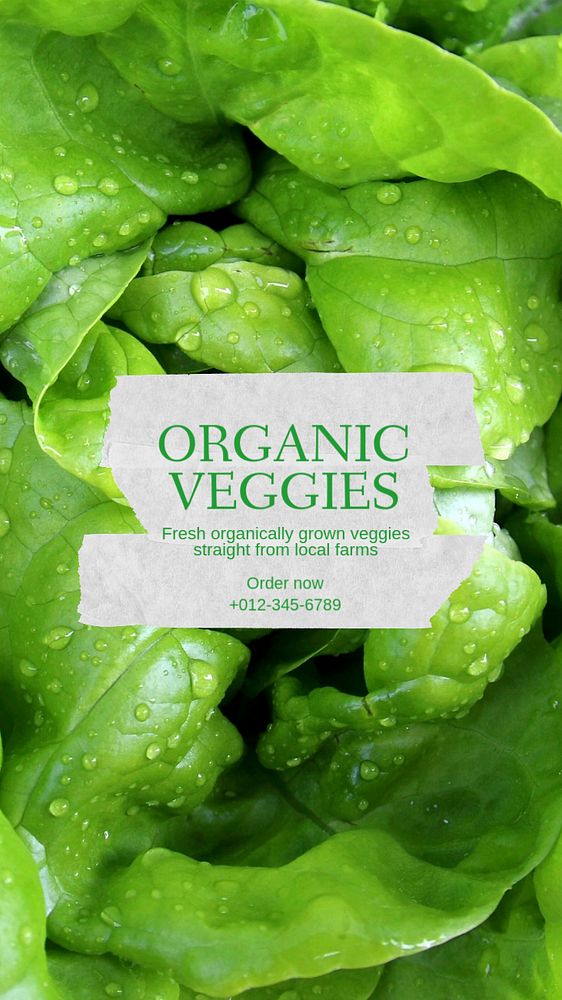 Organic veggies  Instagram story template, editable text