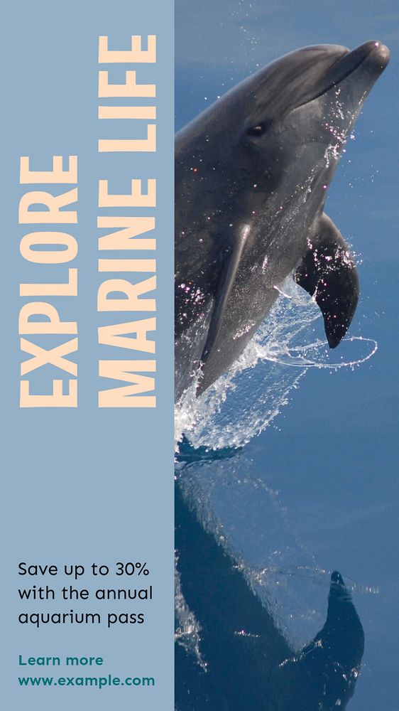 Explore marine life  Instagram story template, editable text