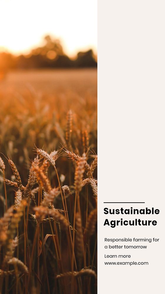 Sustainable agriculture Instagram story template, editable text