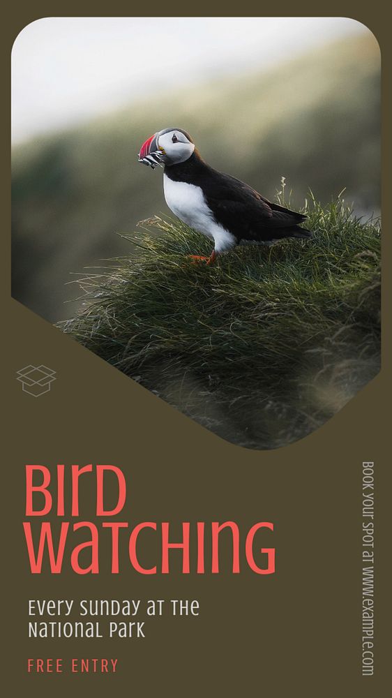 Bird watching  Instagram story template, editable text