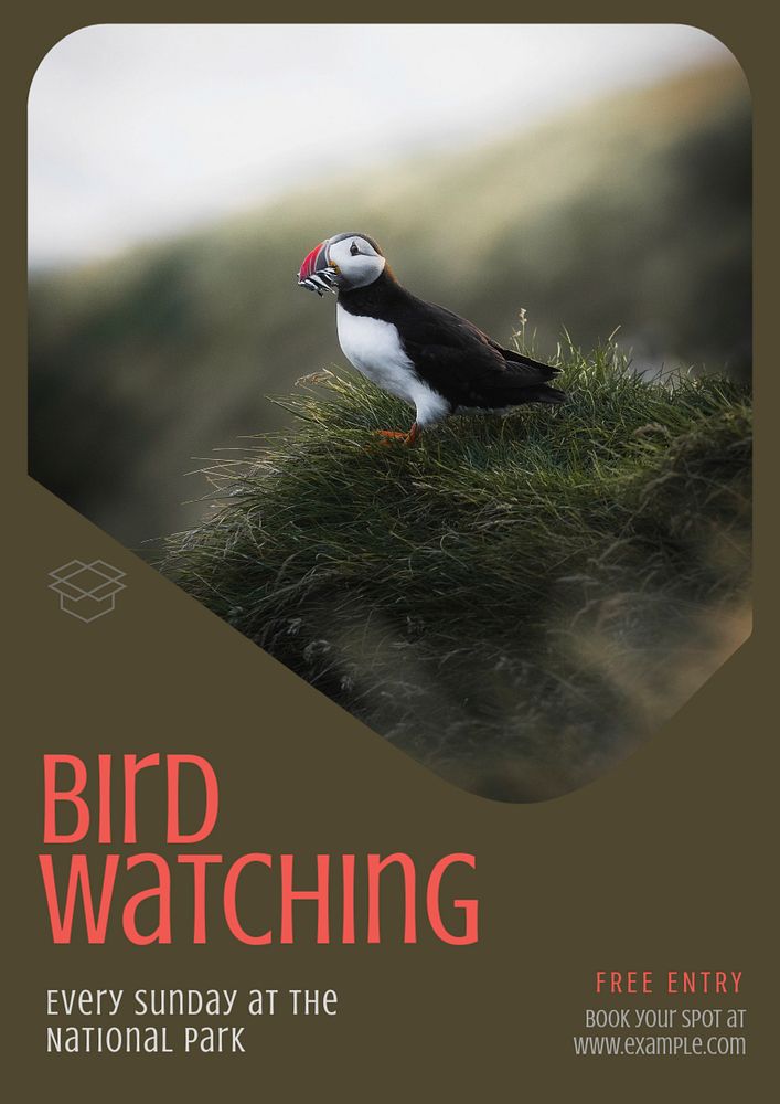 Bird watching  poster template, editable text & design