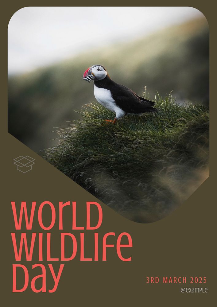 World wildlife day  poster template, editable text & design