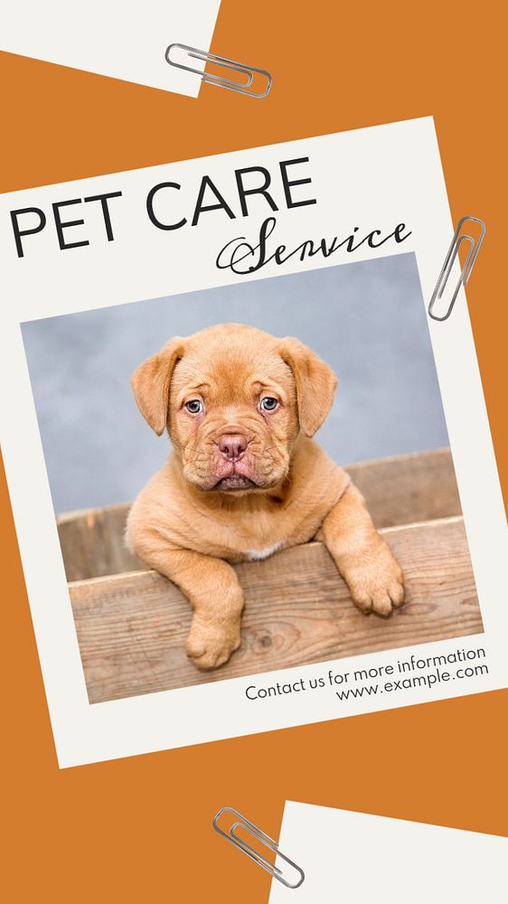 Pet care service  Instagram story template, editable text