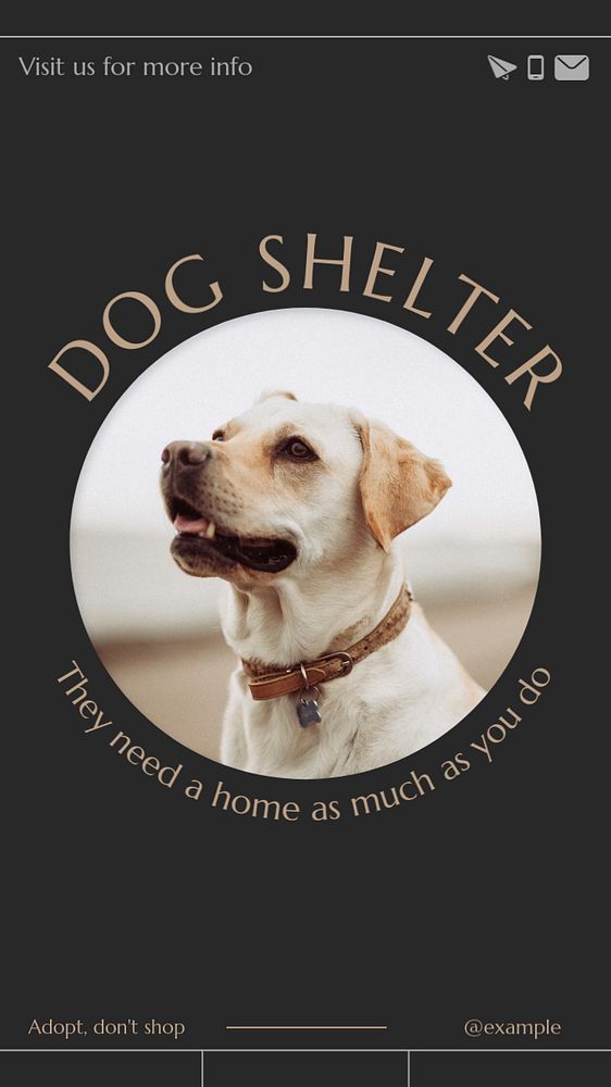 Dog shelter  Instagram story template, editable text