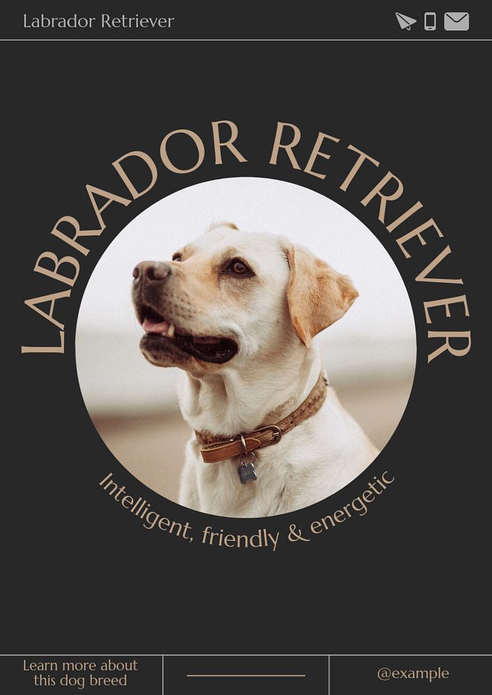 Labrador retriever  poster template, editable text & design