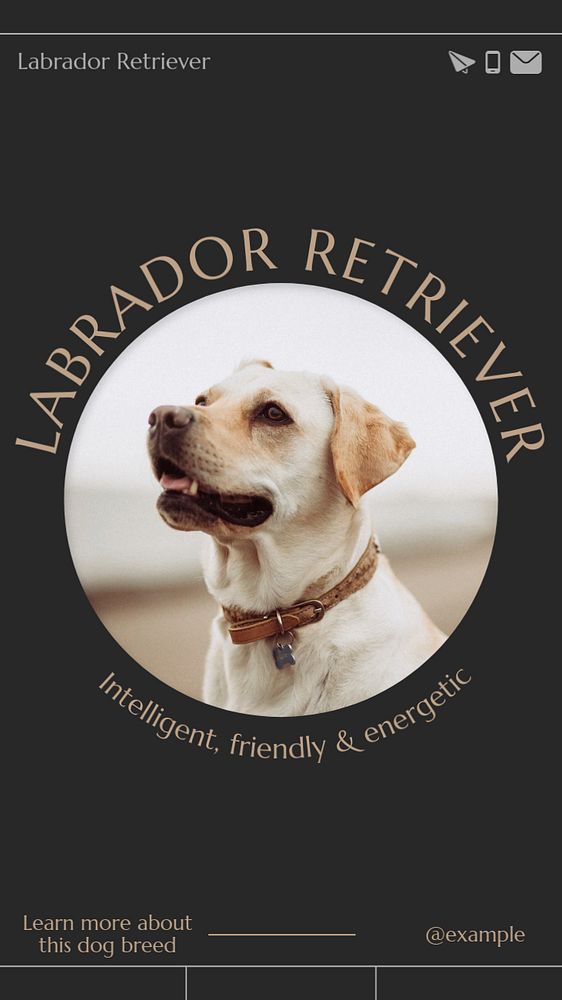 Labrador retriever  Instagram story template, editable text