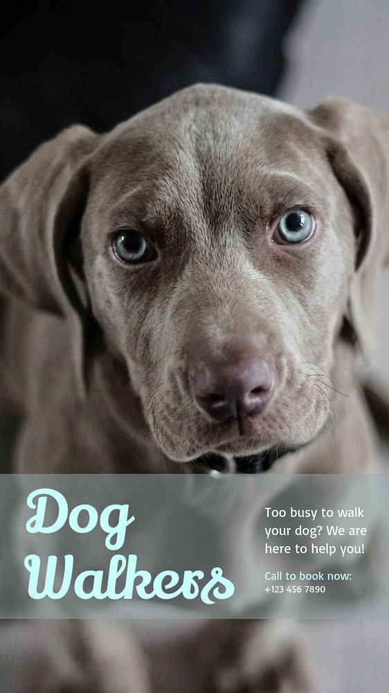 Dog walking service  Instagram story template, editable text