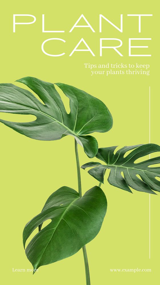 Plant care  Instagram story template, editable text