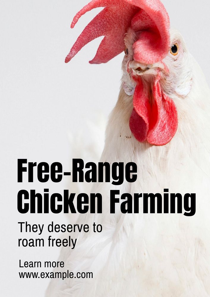 Chicken farming poster template, editable text and design