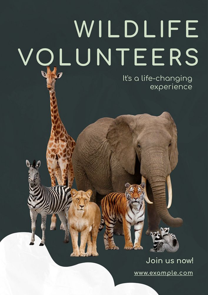 Wildlife volunteers poster template, editable text & design