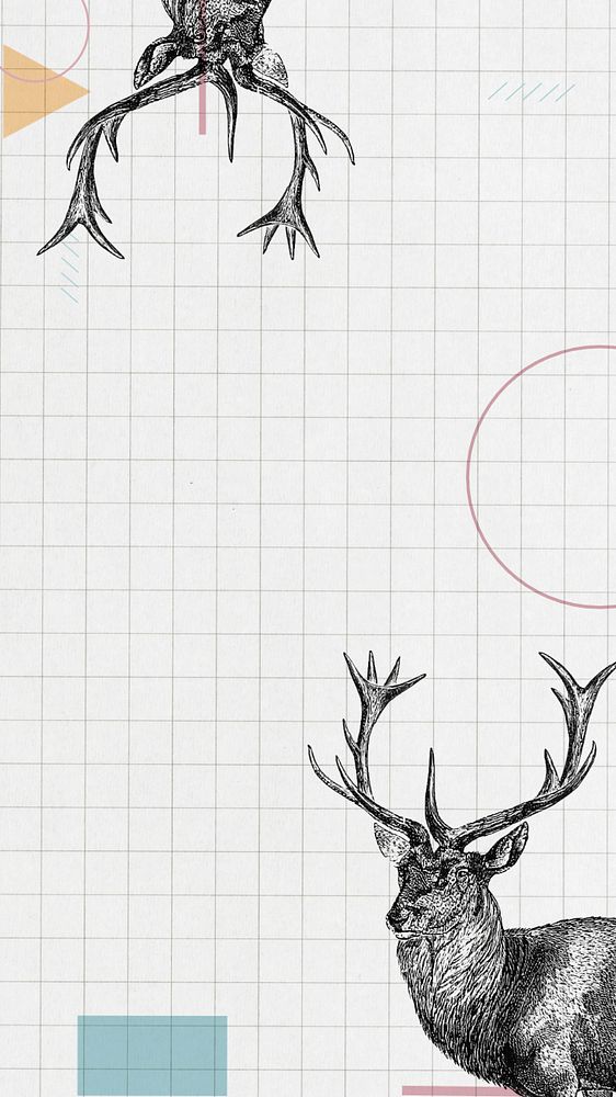 Off-white grid iPhone wallpaper, editable  stag deer border