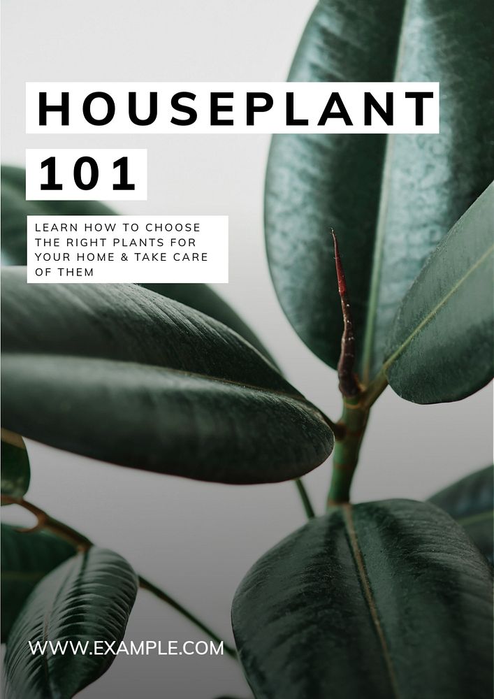 Houseplant poster template, editable text & design