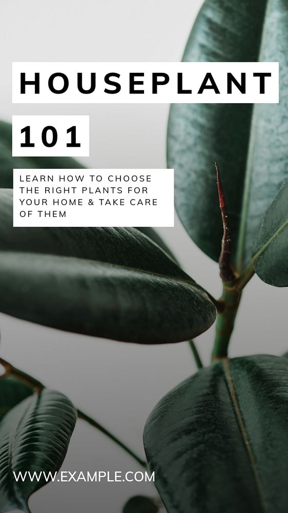 Houseplant Instagram story template, editable text