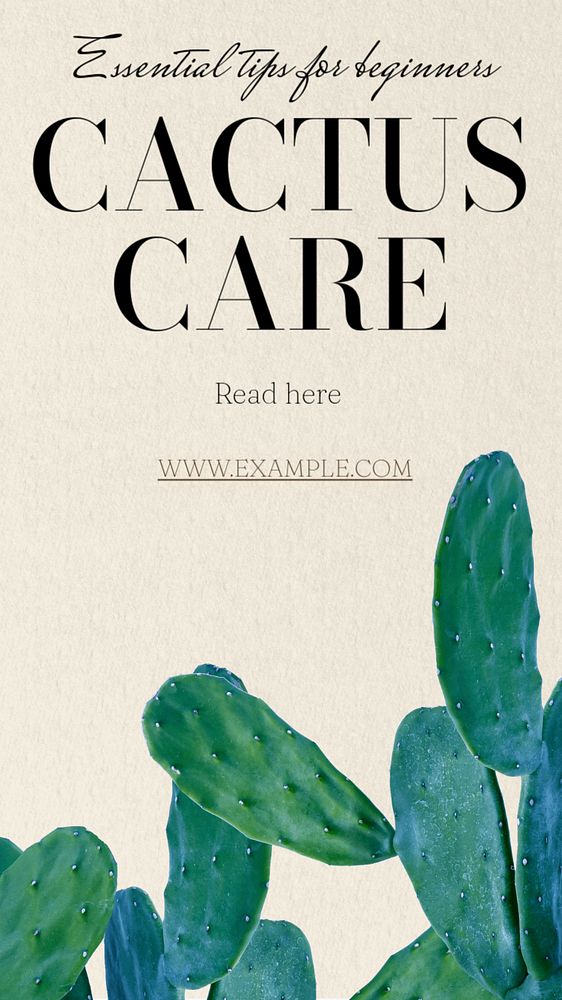 Cactus care  Instagram story template, editable text