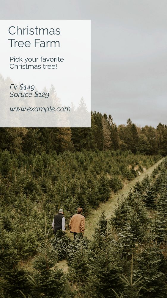 Christmas tree farm Instagram story template, editable text