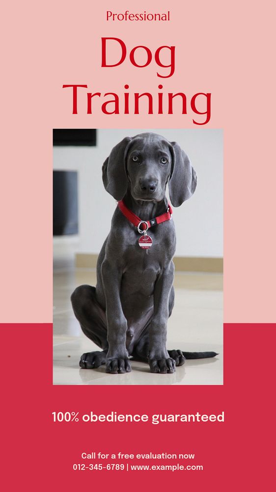 Dog training Instagram story template, editable text