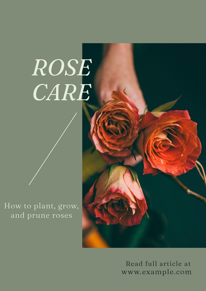 Rose care poster template, editable text and design