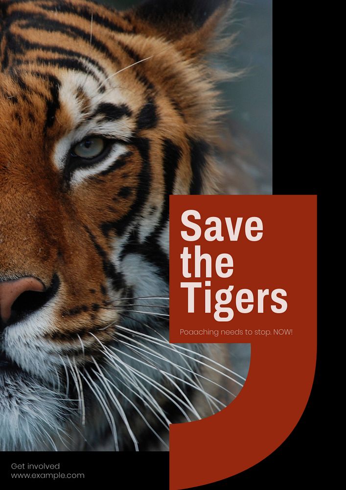 Save the tigers poster template, editable text & design