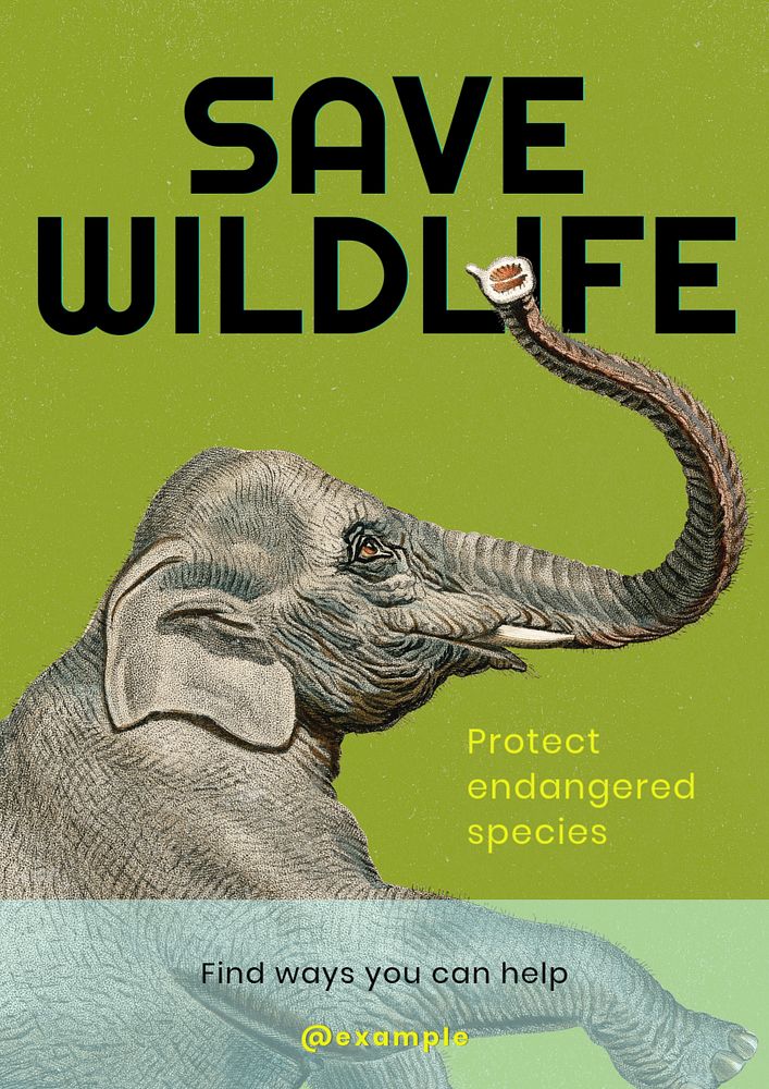 Save the wildlife poster template, editable text and design