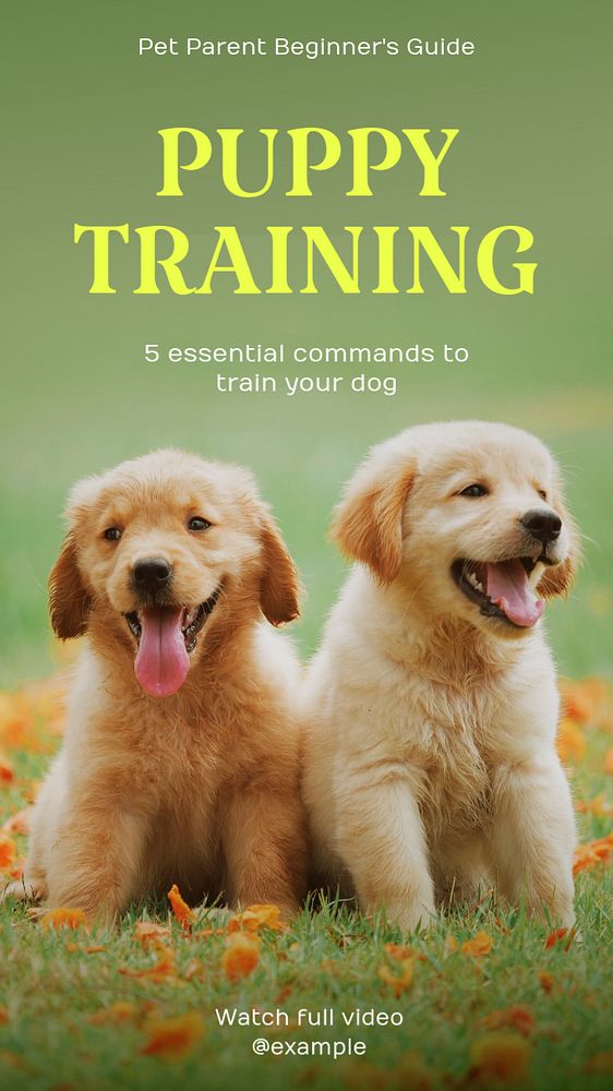 Dog training Instagram story template, Premium Editable Template
