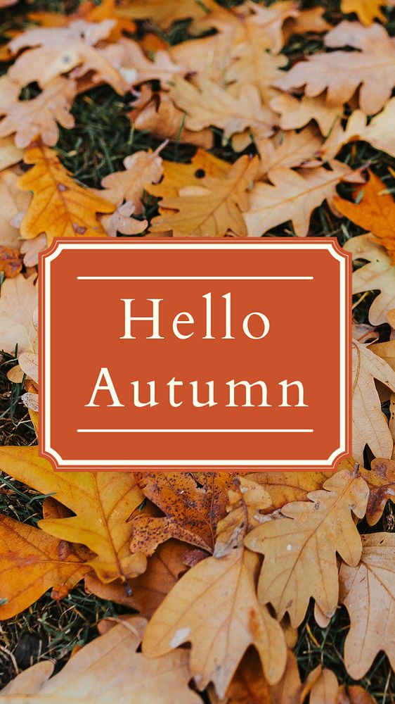 Hello Autumn social story template, editable Instagram design 