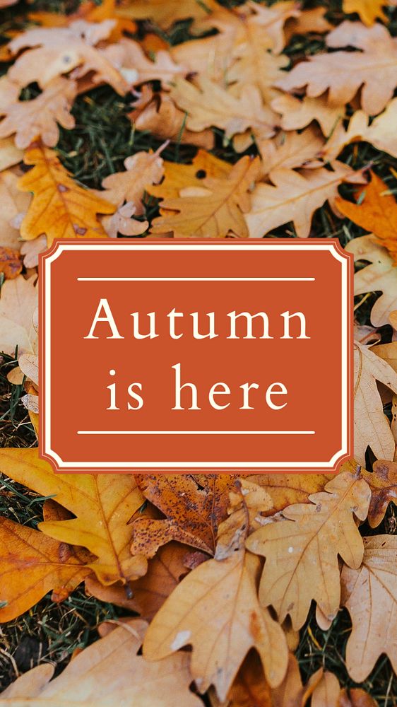 Welcome Autumn Facebook story template, editable design