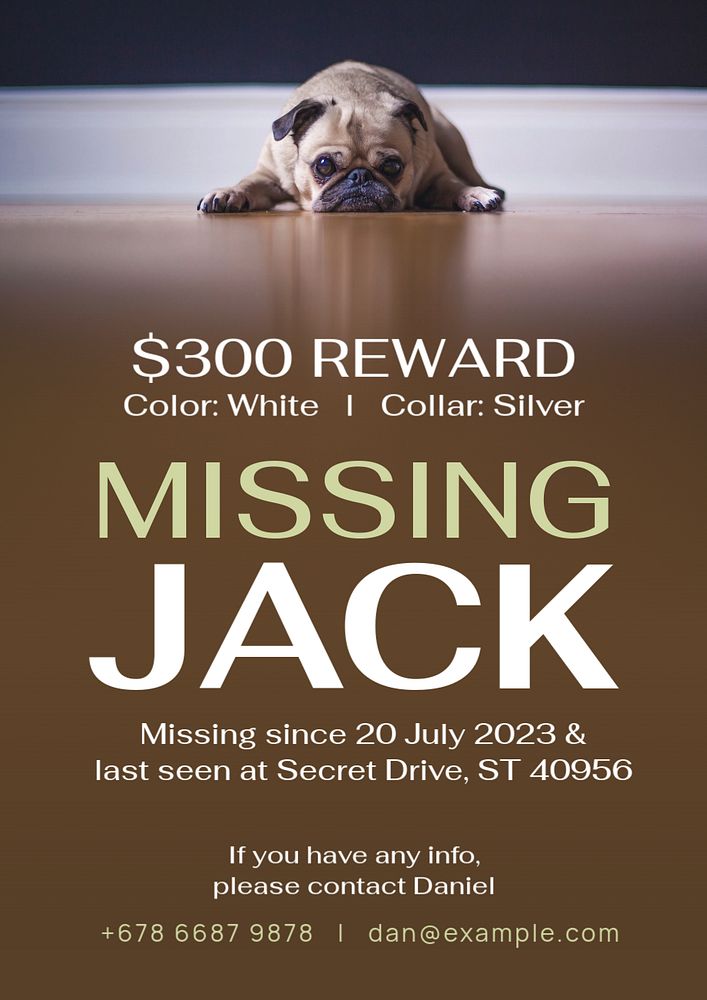 Missing pet poster template, editable text and design