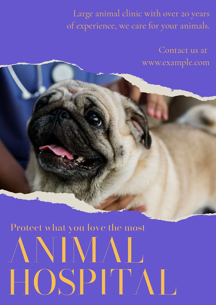 Veterinary clinic  poster template, editable text and design