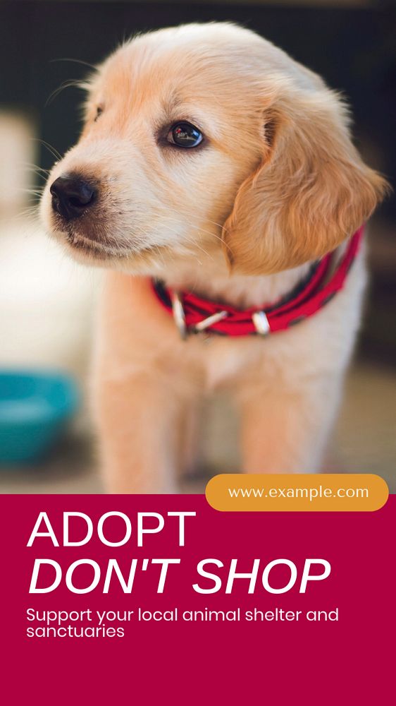 Rescue dog day social story template, editable Instagram design 