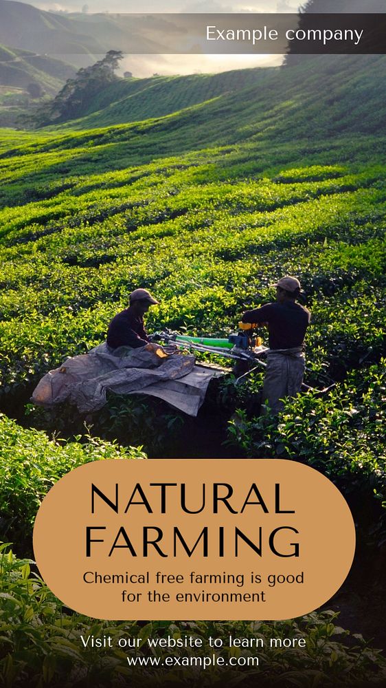 Natural farming  Instagram story template, editable text