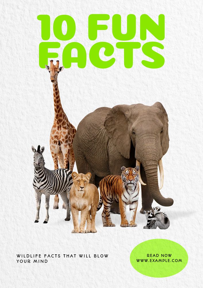 Fun facts poster template, editable text and design