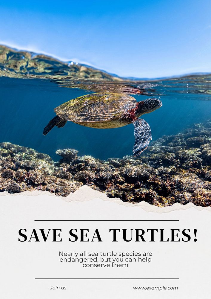 Save sea turtles poster template, editable text and design