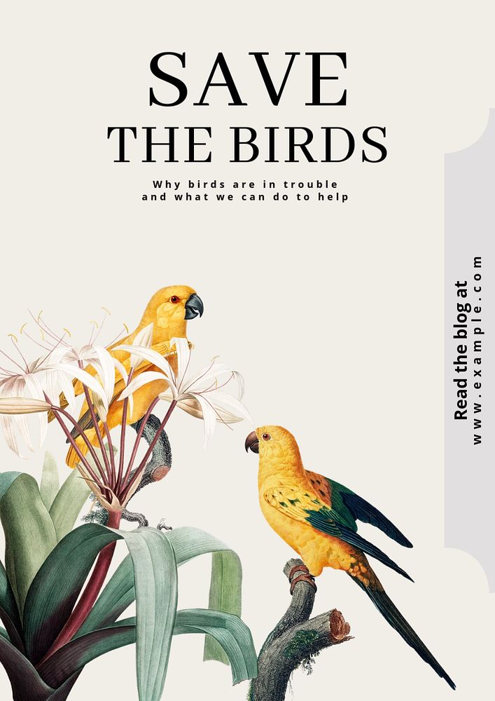 Save the birds poster template, editable text and design