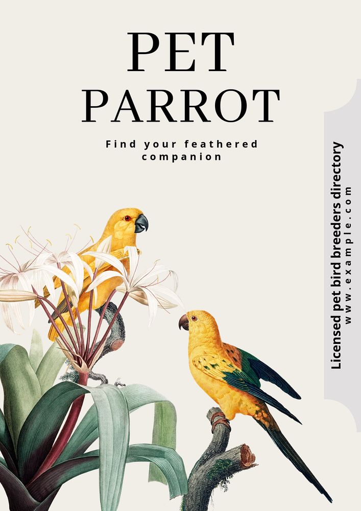 Pet parrot poster template, editable text and design