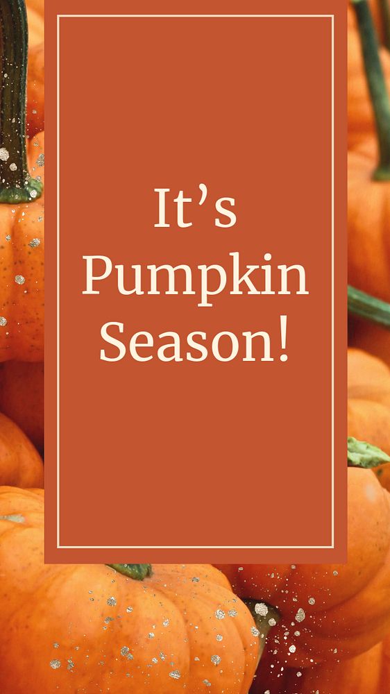 Pumpkin season  Instagram story template, editable text