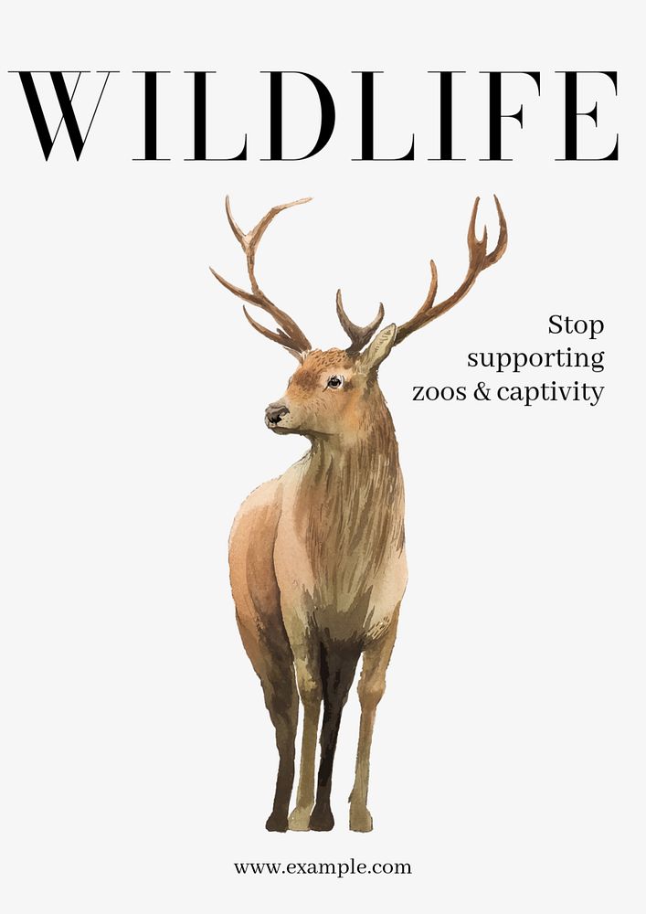 Wildlife  poster template, editable text and design