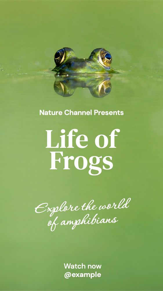 Frog documentary Instagram story template, editable text