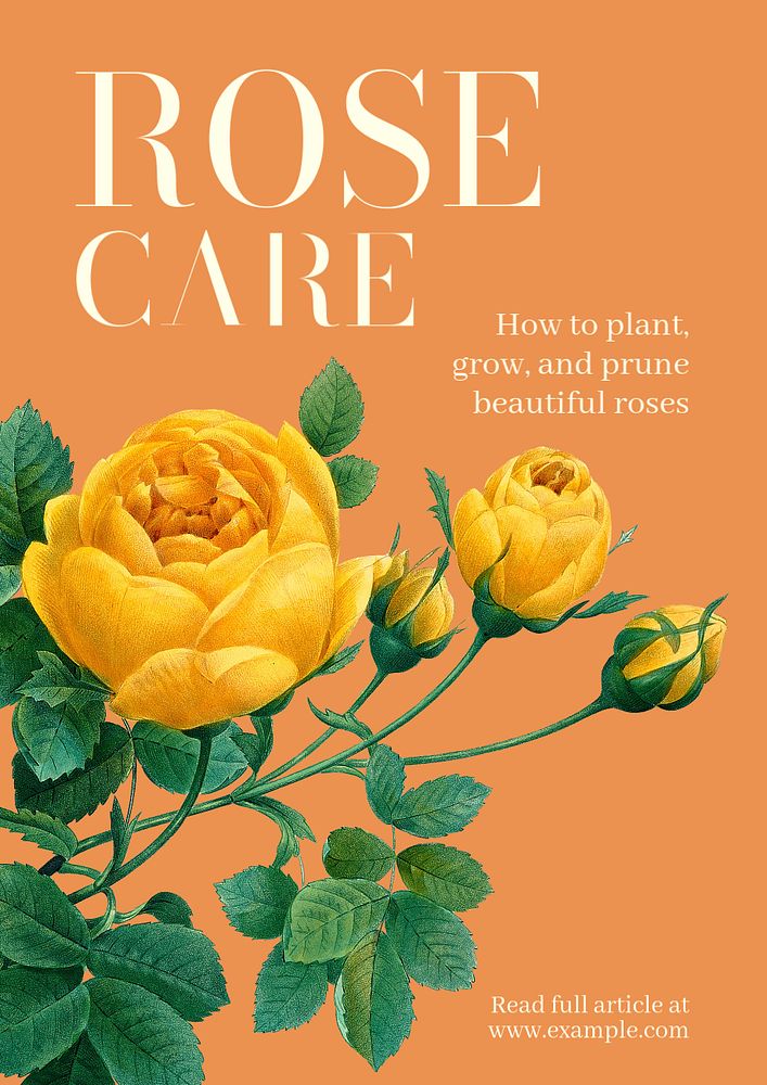 Rose care  poster template, editable text and design