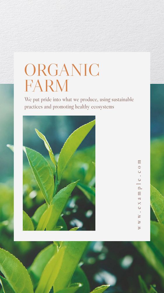 Organic farm  Instagram story template, editable text