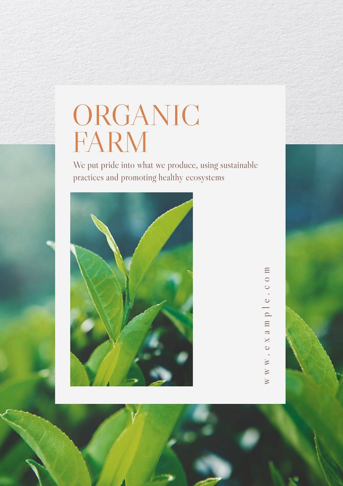 Organic farm  poster template, editable text and design