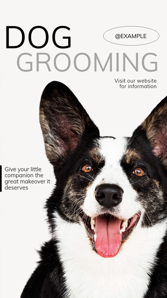 Dog grooming  Instagram story template, editable text