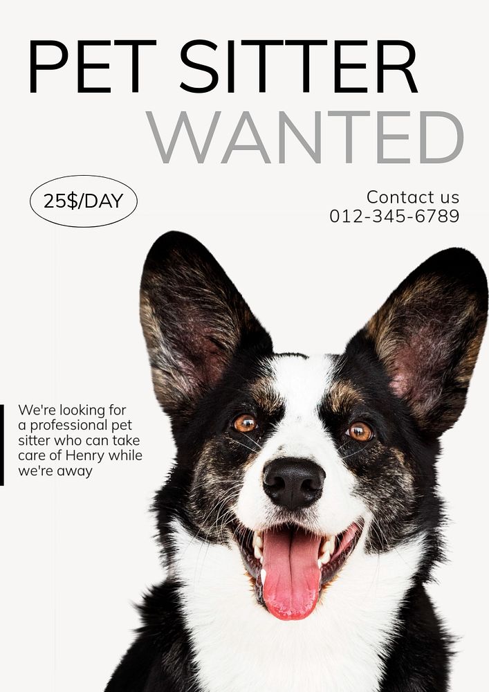 Pet sitter wanted  poster template, editable text and design