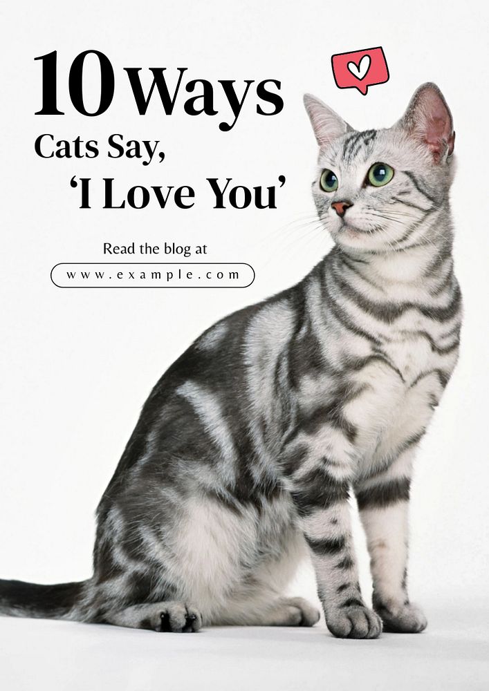 Cat lovers poster template, editable text and design