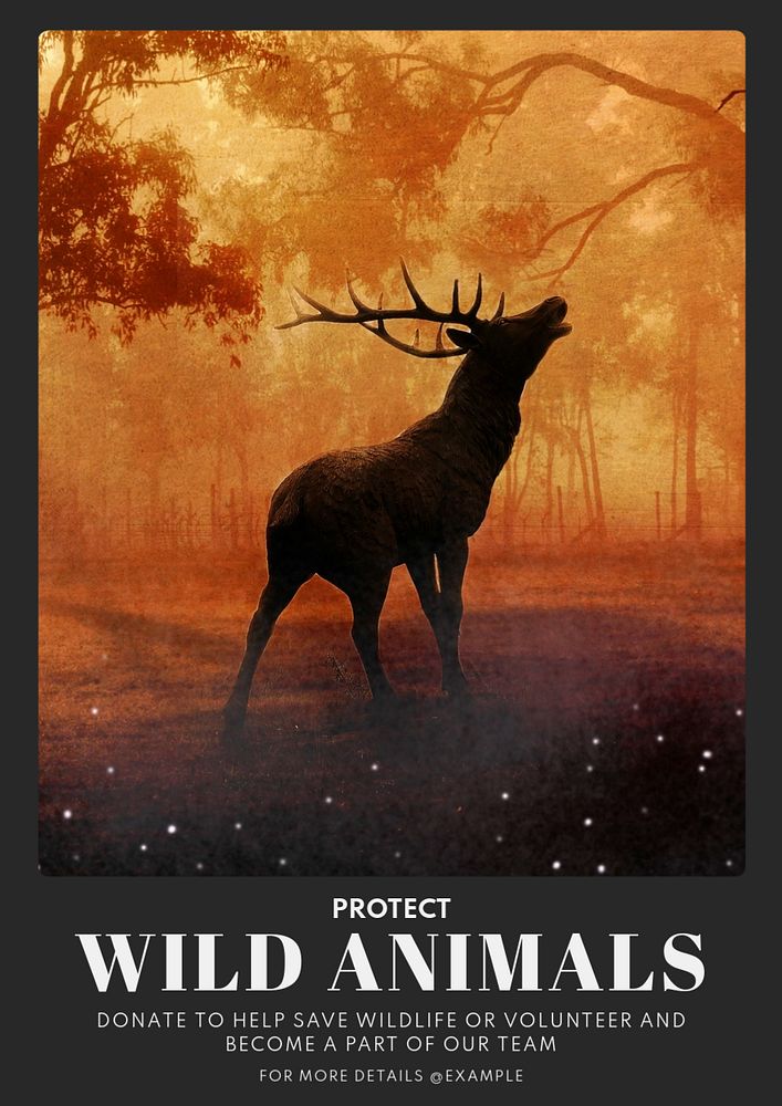 Protect wild animals  poster template, editable text and design