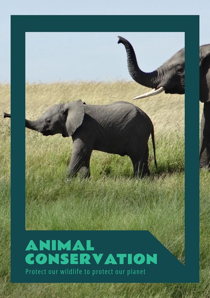 Animal conservation  poster template, editable text and design