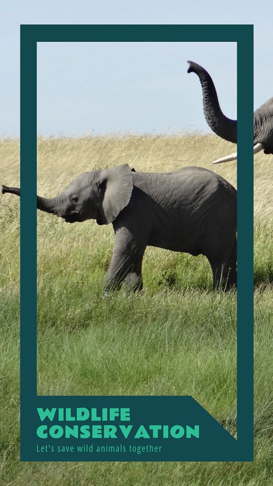 Wildlife conservation  Instagram story template, editable text