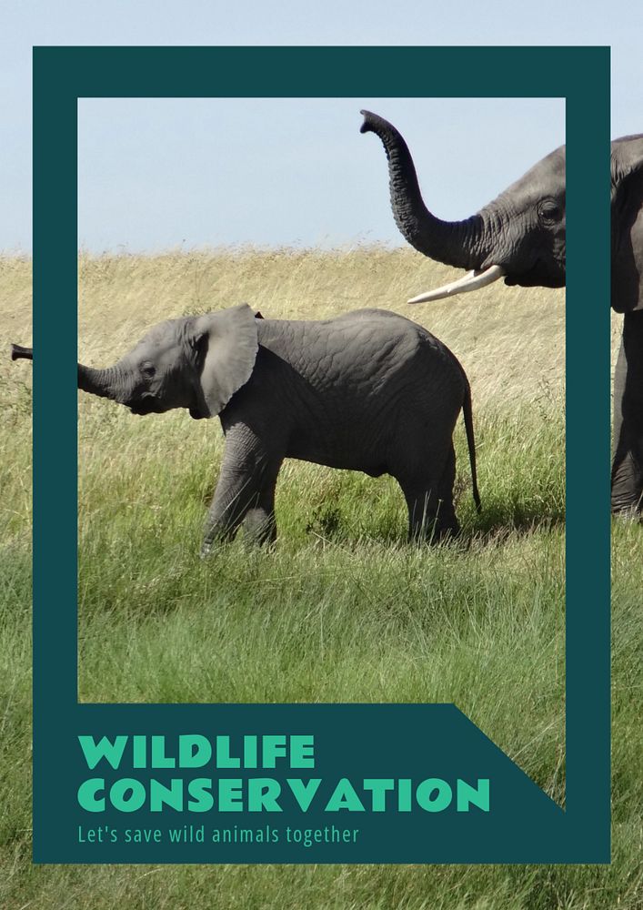 Wildlife conservation  poster template, editable text and design